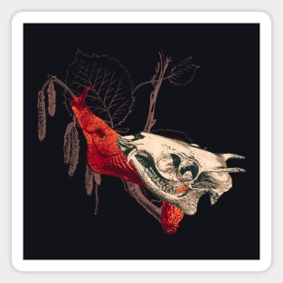 Enigmatic Escargots: Spooky Art Print Featuring Red Snail Donning Tufted Deer Skull Shell Magnet